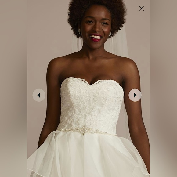 David’s Bridal Lace & Organza Petite Wedding Ball Gown - Picture 3 of 7